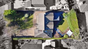 Full Plot View- click for photo gallery